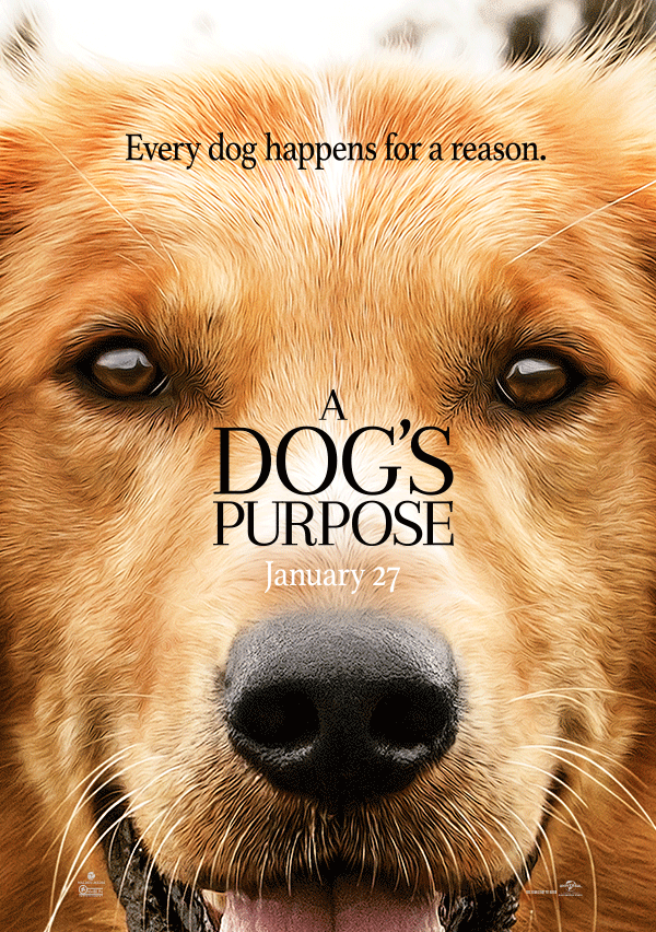 A Dog's Purpose ซับไทย