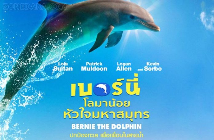 Bernie the Dolphin โลมาน้อยหัวใจมหาสมุทร